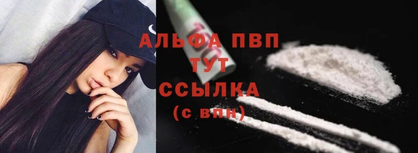 PSILOCYBIN Надым