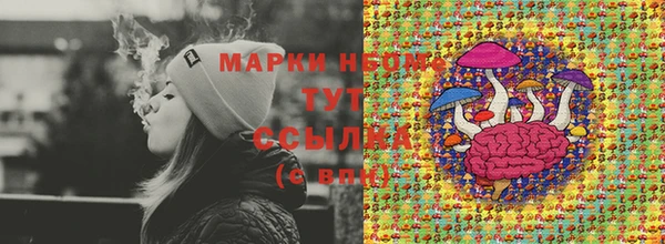 PSILOCYBIN Надым