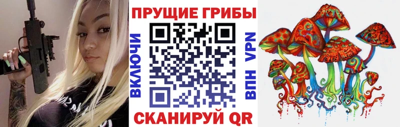 Псилоцибиновые грибы прущие грибы  Шацк 